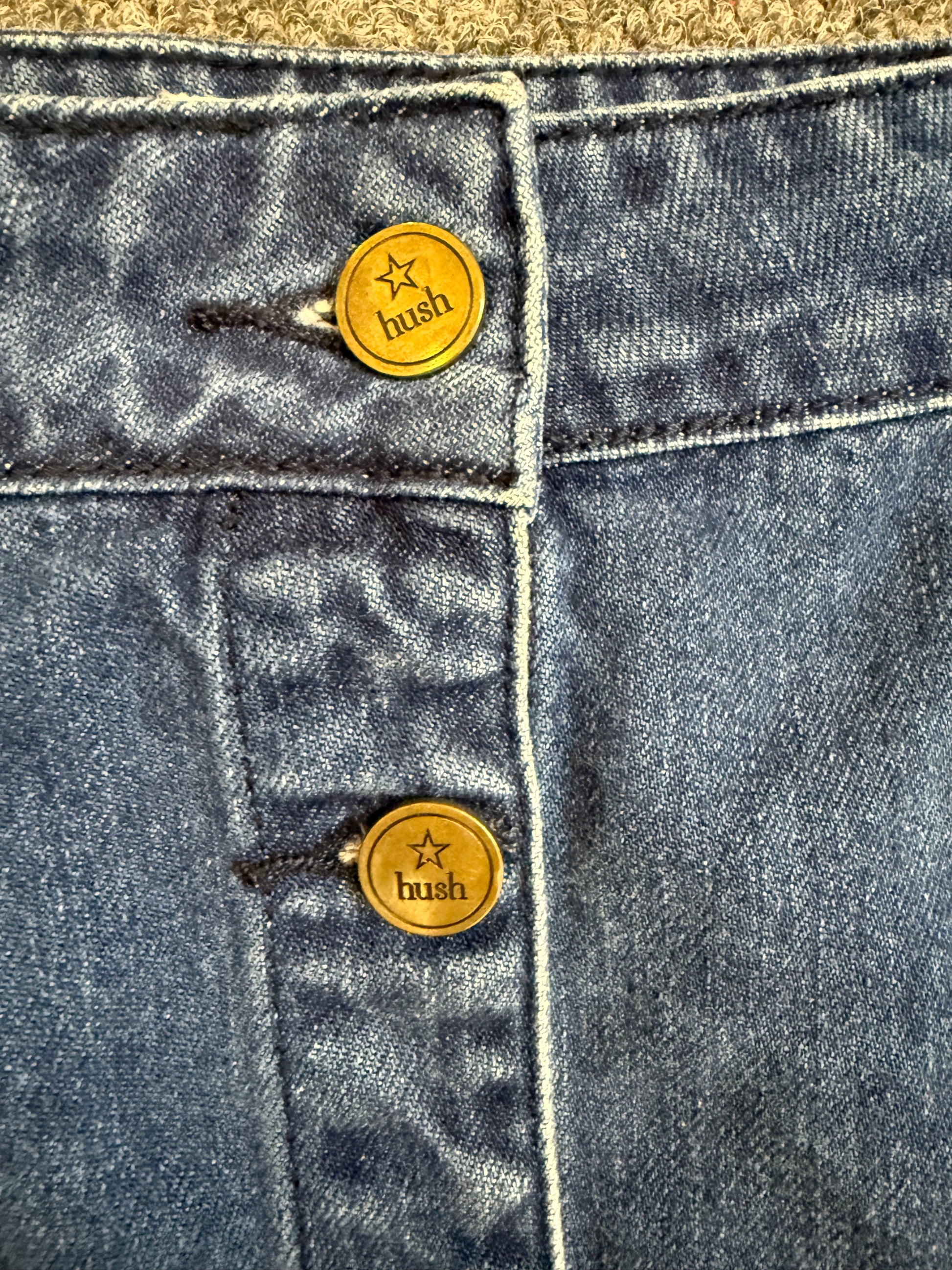 Hush button front denim skirt